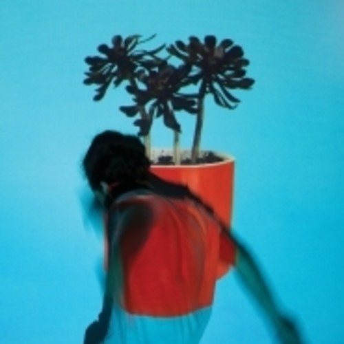 Local Natives - Sunlit Youth [LP] [New Vinyl]