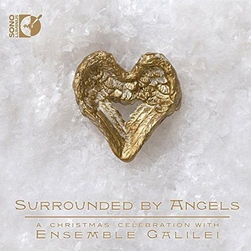 Coleman / Gruber / Ensemble Galilei - Surrounded by Angels [CD]