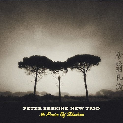 Peter Erskine New Trio - In Praise Of Shadows Music CD