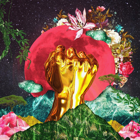 Rina Mushonga - In A Galaxy [LP] [New Vinyl]