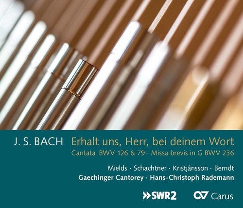 Hans-christoph Rademann - JS Bach: Erhalt Uns, Herr, Bei Deinem Wort [CD]