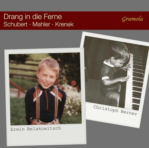 Beethoven / Irnberger / Judd - Violin Concerto / Triple Concerto / Romances [CD]