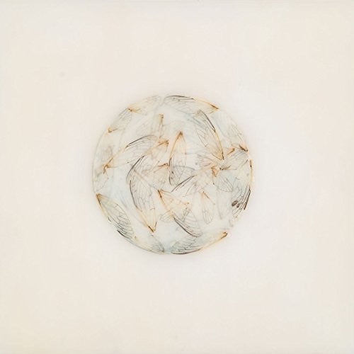 Lotte Kestner - Off White [CD]