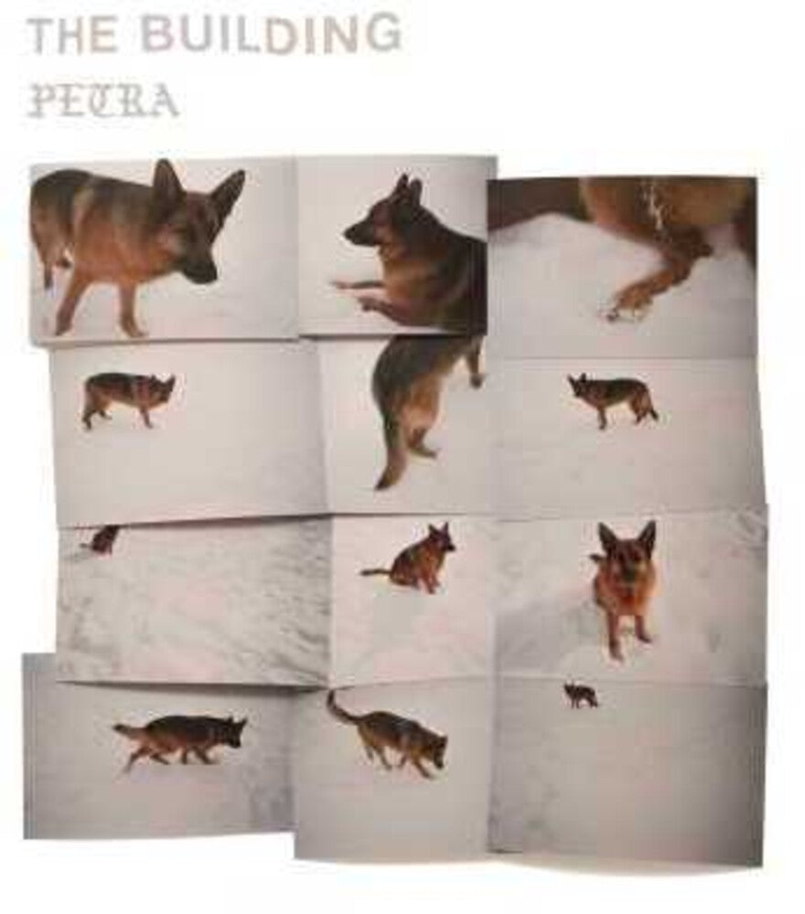The Building - PETRA [LP] [New Vinyl]
