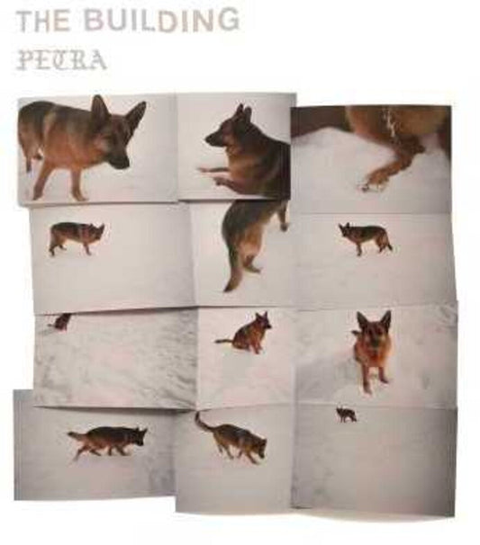 The Building - PETRA [LP] [New Vinyl]
