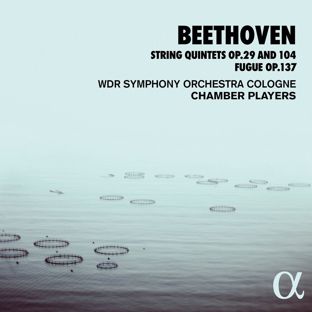 Beethoven - String Quintets 29 & 104 [CD]