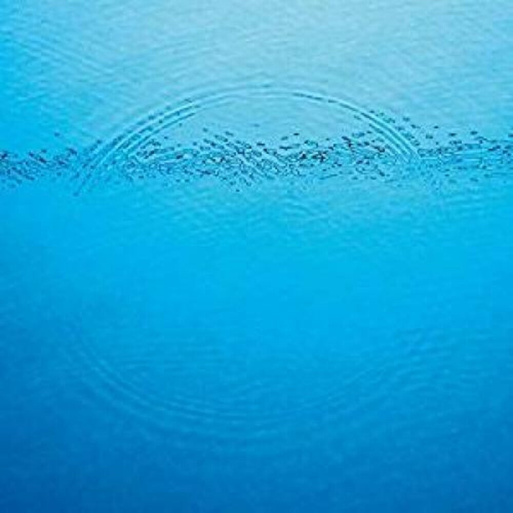 Caribou - Suddenly [LP] Vinyl Record