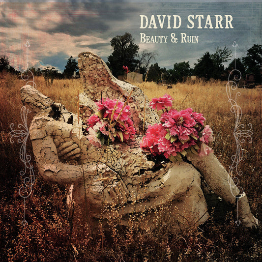 David Starr - Beauty & Ruin [CD] [New]