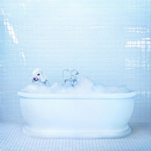 Frankie Cosmos - Vessel [CD] [New CD]