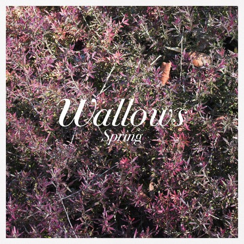 Wallows - Spring EP [Pink & Green Vinyl] [New Vinyl]