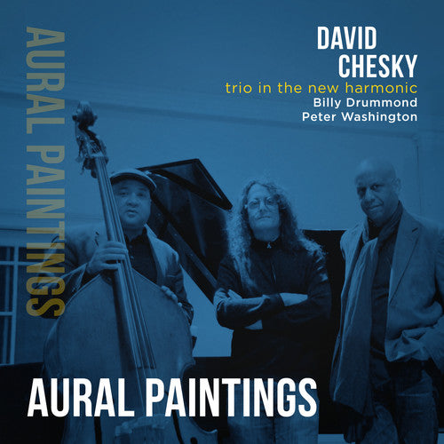 David Chesky - Trio In The New Harmonic: Aural Paintings [Digipak]