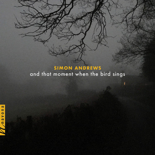 Andrews / Maurer - & That Moment When the Bird Sings Music CD