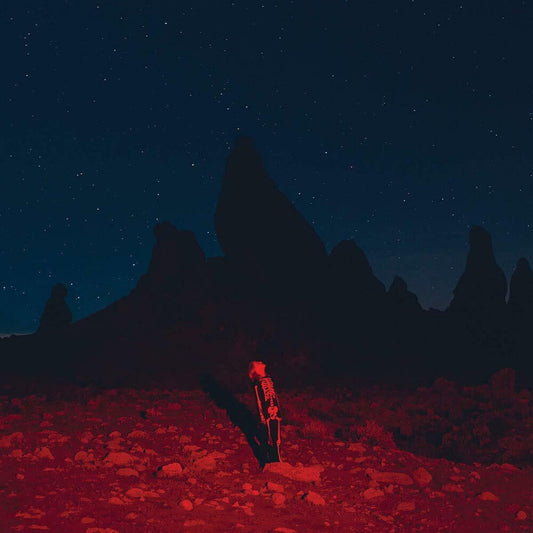 Phoebe Bridgers - Punisher [LP] Vinyl Record [New]