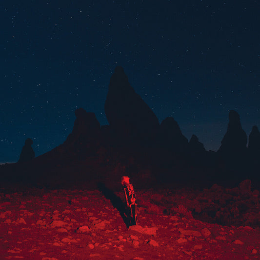Phoebe Bridgers - Punisher [CD] [New]