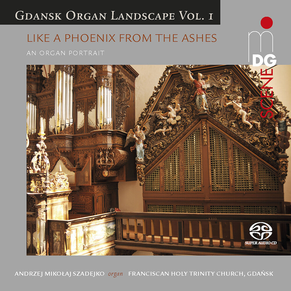 Gdansk Organ Landscape 1 / Various Hybr - Gdansk Organ Landscape 1 [CD]