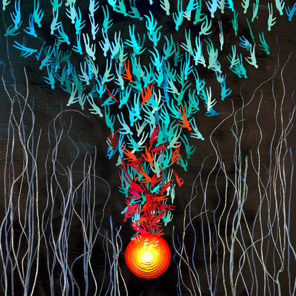 Bright Eyes - Down in the Weeds, Where the World Once Was [CD] [New]