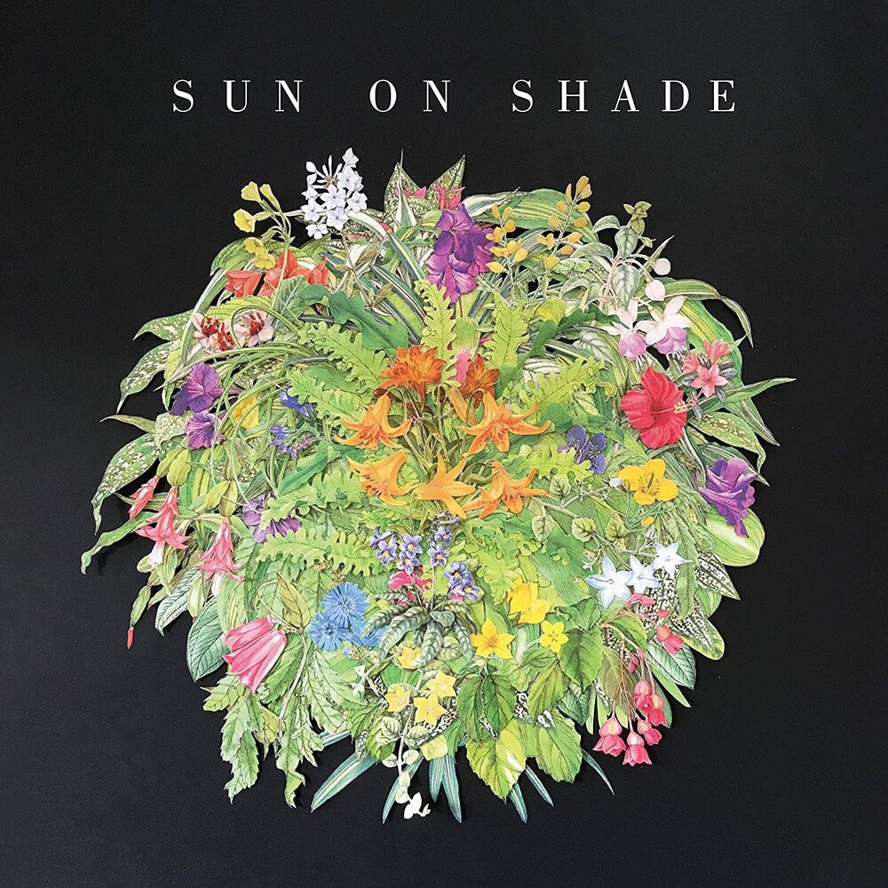Sun On Shade - Sun On Shade [LP] Vinyl Record [New]