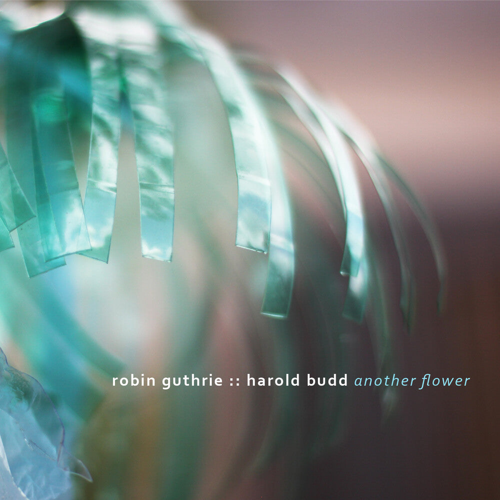 Robin Guthrie / Budd,Harold - Another Flower [Digipak]