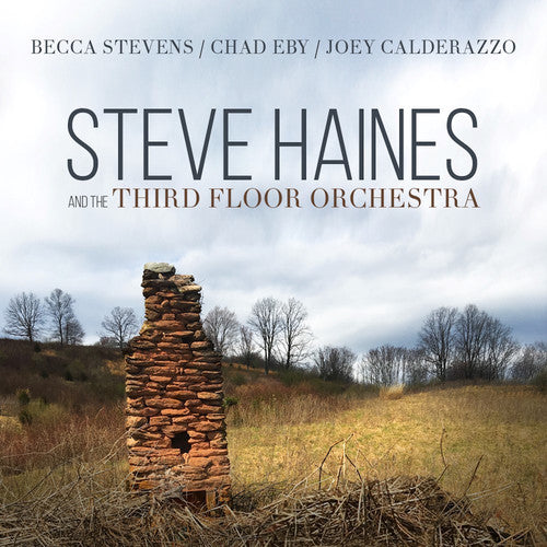 Steve Haines & Third Floor Orchestra - Steve Haines And The Third Floor Orchestra Music CD