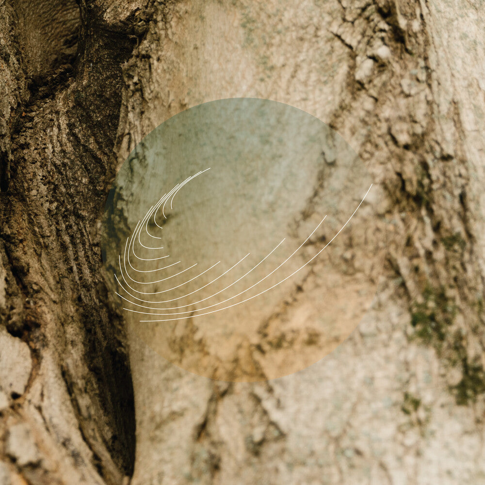 Field Works - Maples Ash & Oaks: Cedars Instrumentals [CD]