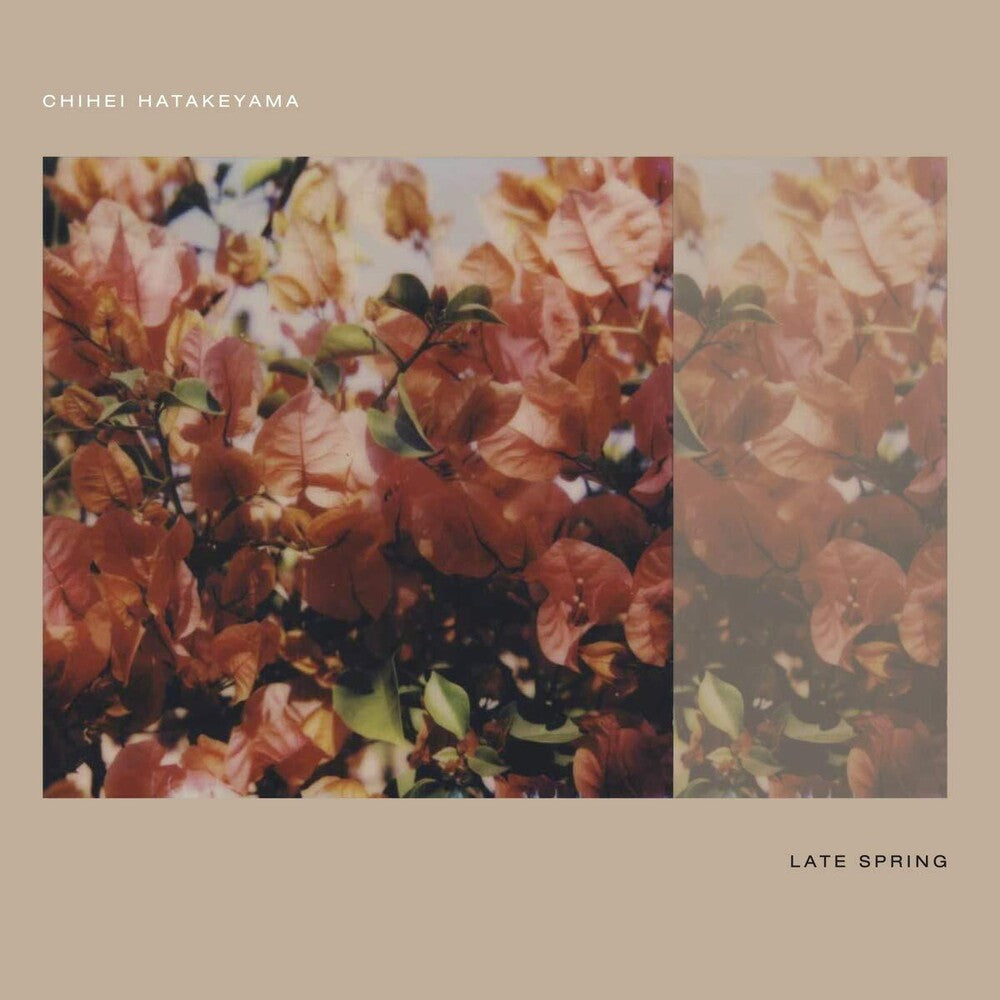 Chihei Hatakeyama - Late Spring [CD]