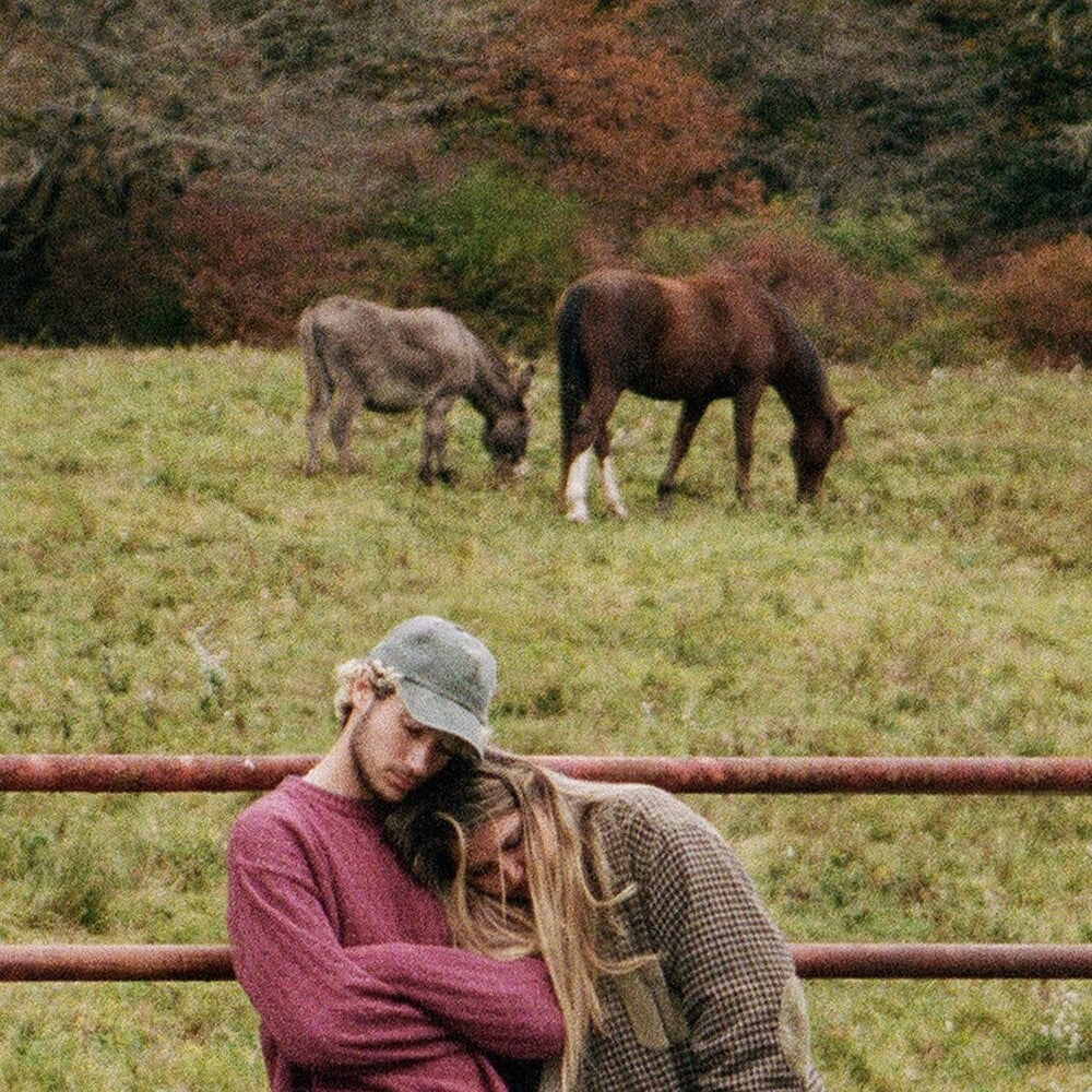 Jeremy Zucker/Chelsea Cutler - brent ii [LP] Vinyl Record