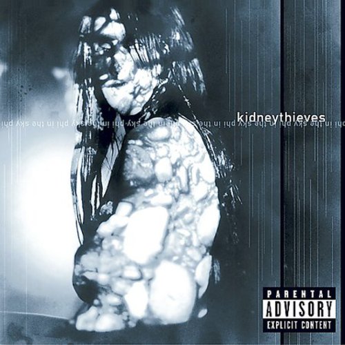 Kidneythieves - Phi in the Sky [CD]