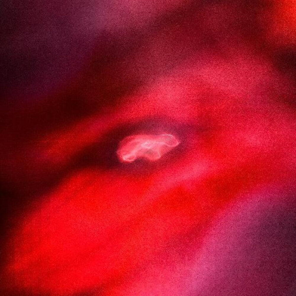 Saffronkeira / Siavash Amini - Faded Orbit [Indie Exclusive Limited Edition Red LP] [New Vinyl]
