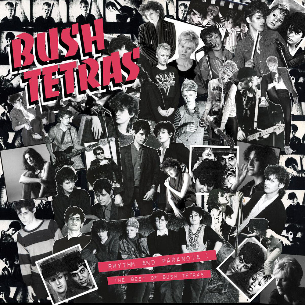 Bush Tetras - Rhythm & Paranoia: The Best Of Bush Tetras [CD] [New CD]