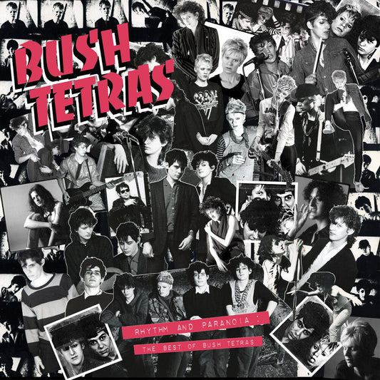 Bush Tetras - Rhythm & Paranoia: The Best Of Bush Tetras [CD] [New CD]