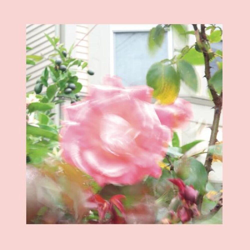 The Reds, Pinks and Purples - Summer At Land's End [Indie Exclusive Limited Edition Yellow 2LP] [New Vinyl]