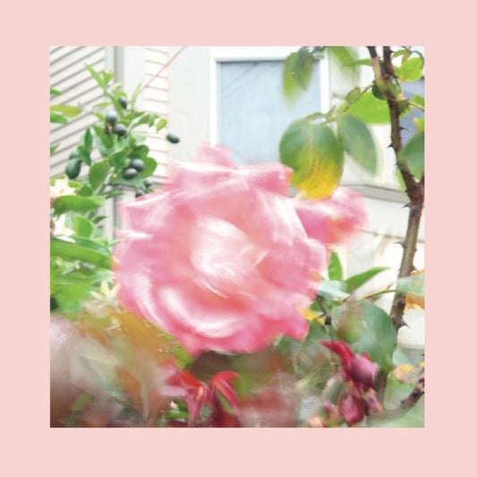 The Reds, Pinks and Purples - Summer At Land's End [Indie Exclusive Limited Edition Yellow 2LP] [New Vinyl]