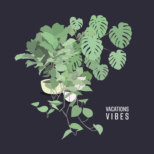 Vacations - Vibes (Mod) [CD] [New CD]