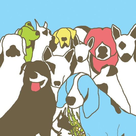 The Format - Dog Problems [Indie Exclusive] [New Vinyl]
