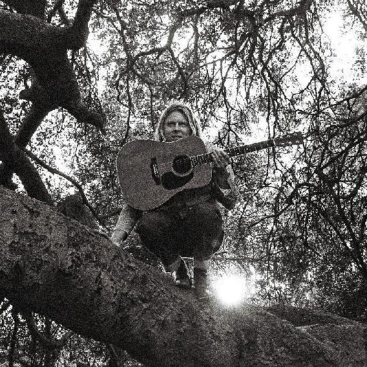 Ty Segall - Hello, Hi [CD] [New CD]