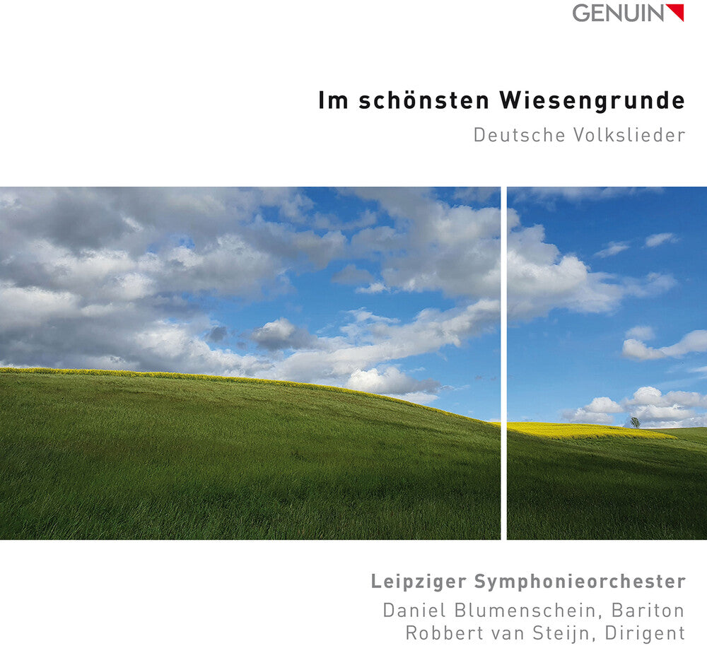 Mendelssohn / Leipziger Symphonieorchester - Im Schonsten Wiesengrunde Music CD