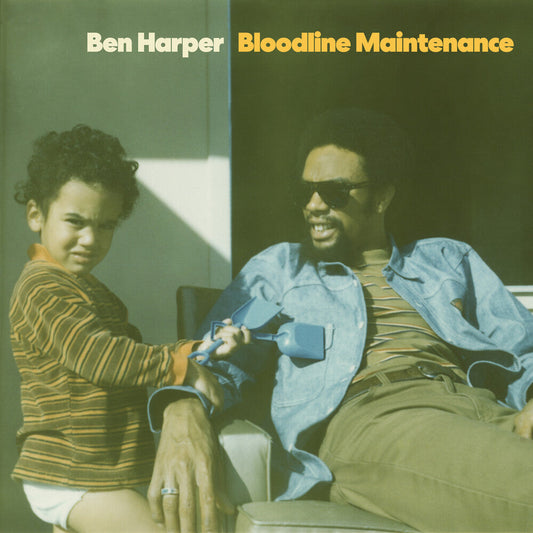 Ben Harper - Bloodline Maintenance Music CD [New]