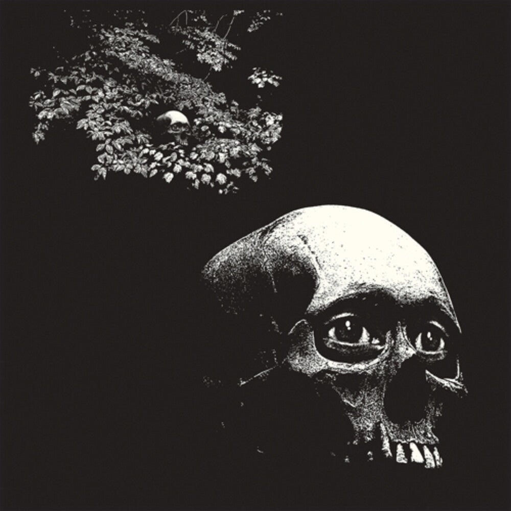 Osees - Foul Form [LP] [New Vinyl]