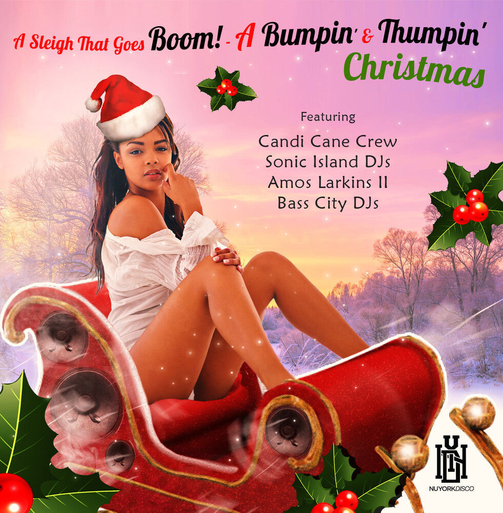 Various Artists - Sleigh That Goes Boom! - A Bumpin' & Thumpin' Chri [CD]