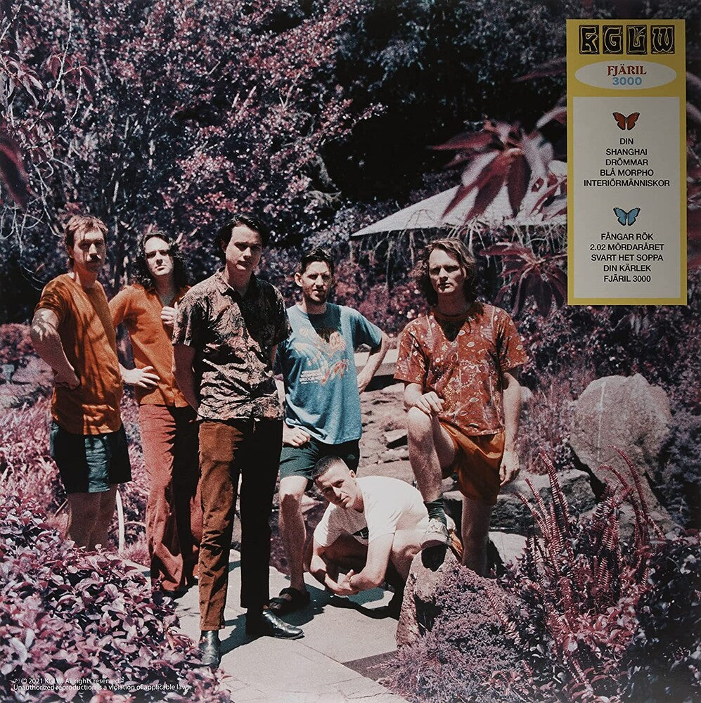 King Gizzard & The Lizard Wizard - Butterfly 3000 [Indie Exclusive Limited Edition Swedish LP] [New Vinyl]