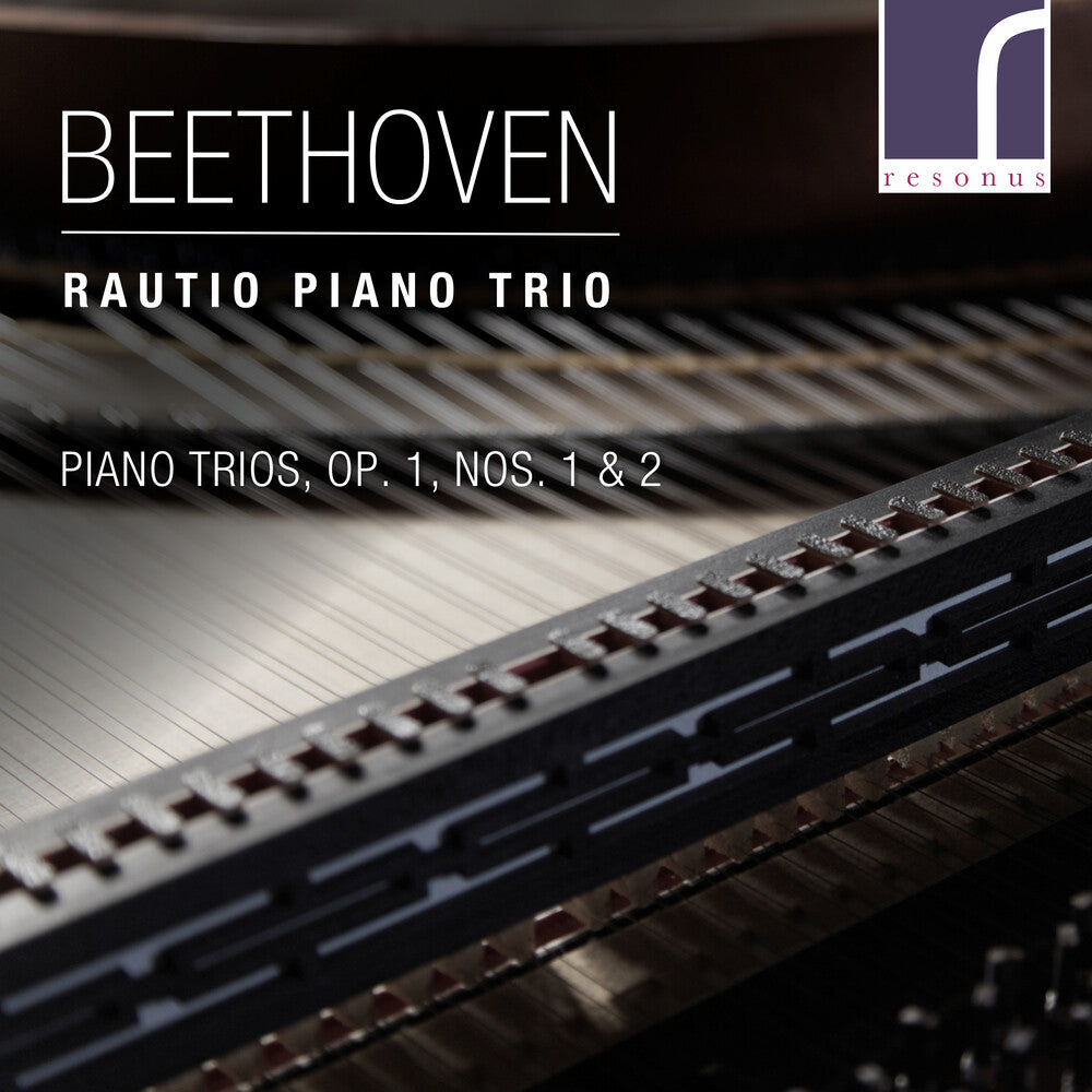Beethoven / Rautio Piano Trio - Piano Trios 1 1 & 2 [CD]