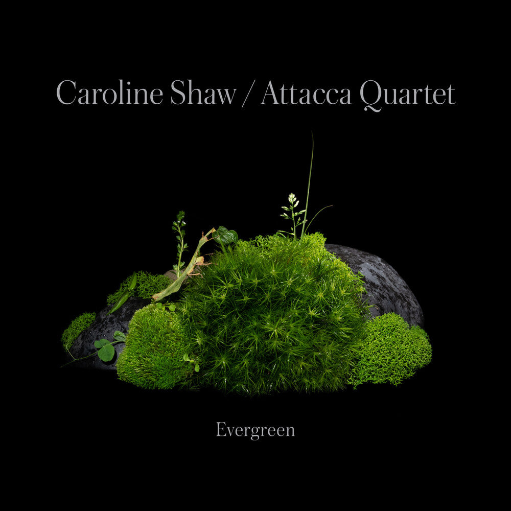 Caroline Shaw & Attacca Quartet - Evergreen [CD] [New CD]