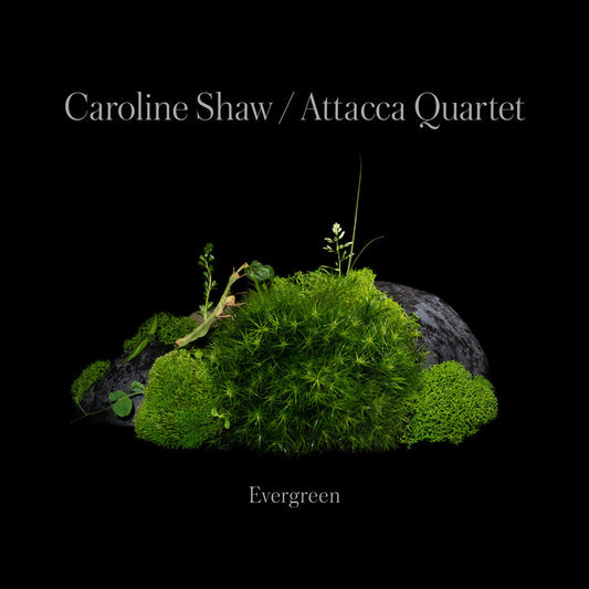 Caroline Shaw & Attacca Quartet - Evergreen [CD] [New CD]