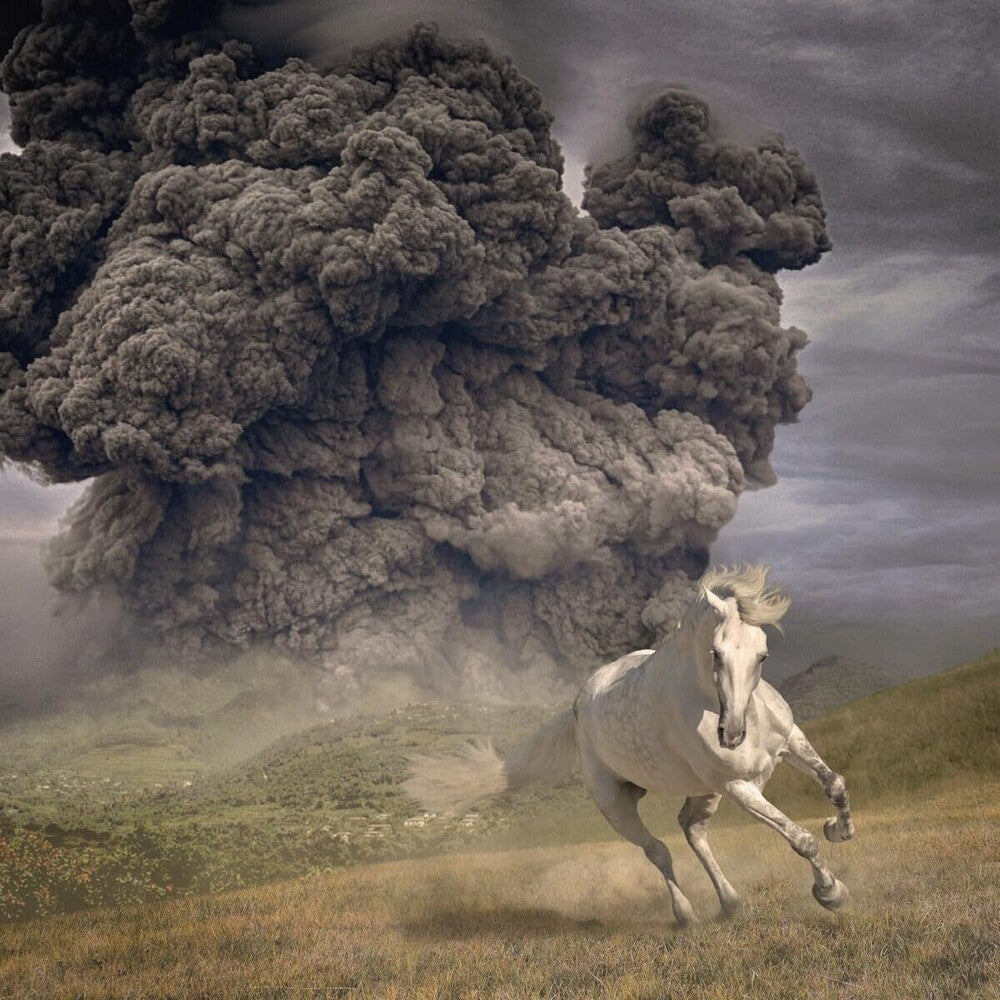 The White Buffalo - Year Of The Dark Horse [CD] [New]