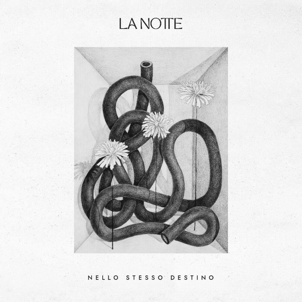 La Notte - Nello Stesso Destino (Ita) Music CD