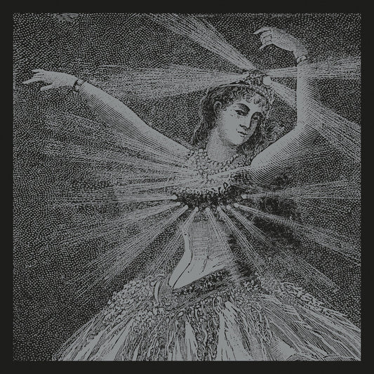 Neutral Milk Hotel - The Collected Works Of Neutral Milk Hotel [LP Box Set] Vinyl Record [New]