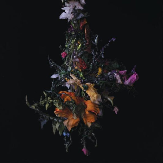 Big/Brave - Nature Morte [Colored Vinyl] [Limited Edition] [Indie Exclusive] [Download Included] [New Vinyl]