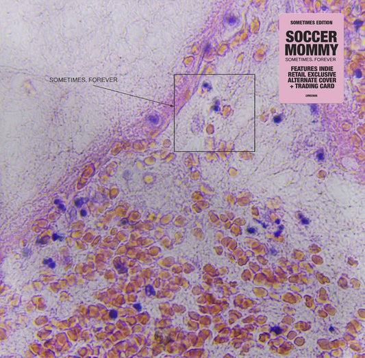 Soccer Mommy - Sometimes, Forever [Indie Exclusive Limited Edition Alternate Cover CD] [New CD]