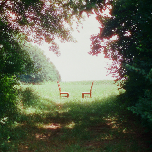 Ratboys - Singin' to an Empty Chair [2LP] [New Vinyl]