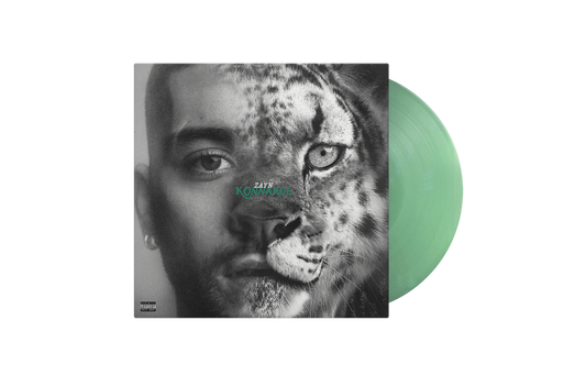Zayn - KONNAKOL [Swimming Through Seas]